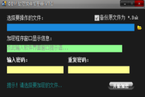 OEM动态文件加密器