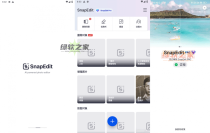 手机AI智能图像编辑器 SnapEdit PRO绿色版