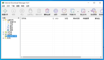 Internet Download Manager 6.41.20 中文