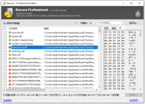 文件恢复工具 Piriform Recuva v1.53.2096汉化版