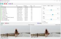 图像压缩工具 Caesium Image Compressor v2.4.1便携版