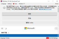 windows ISO dl 微软视窗系统直连下载工具（中文）