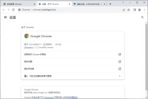 谷歌浏览器Google Chrome v120.0.6099.217绿色增强(Chrome++1.7.2)版