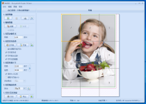海报打印 RonyaSoft Poster Printer v3.2.21 中文