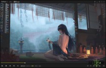 PotPlayer v1.7.21952绿色版